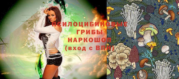 не бодяженный Богородицк