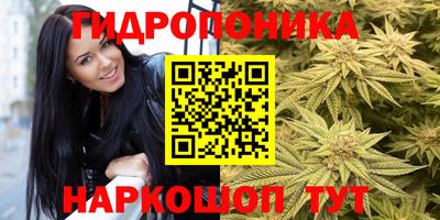 гидропоника Кунгур
