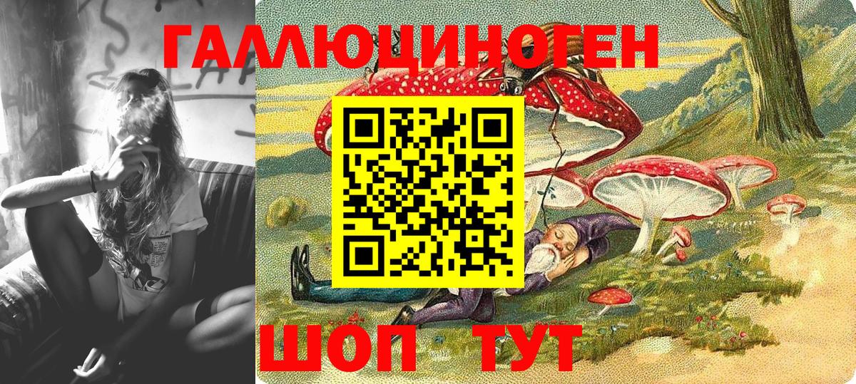 Псилоцибиновые грибы Psilocybine cubensis Советский