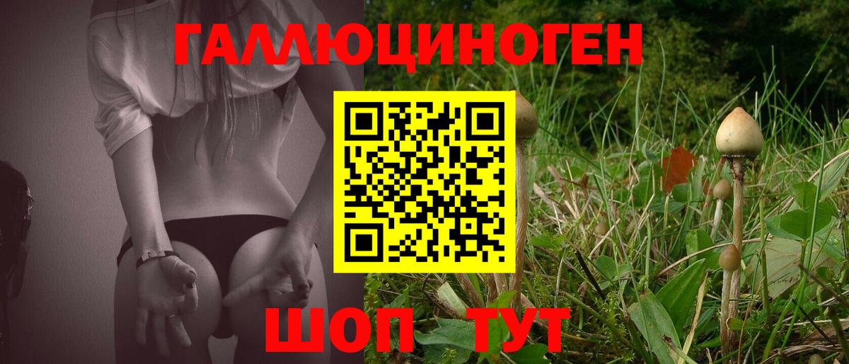 Псилоцибиновые грибы ЛСД  Вход с VPN  Советский  Галлюциногенные грибы прущие грибы 