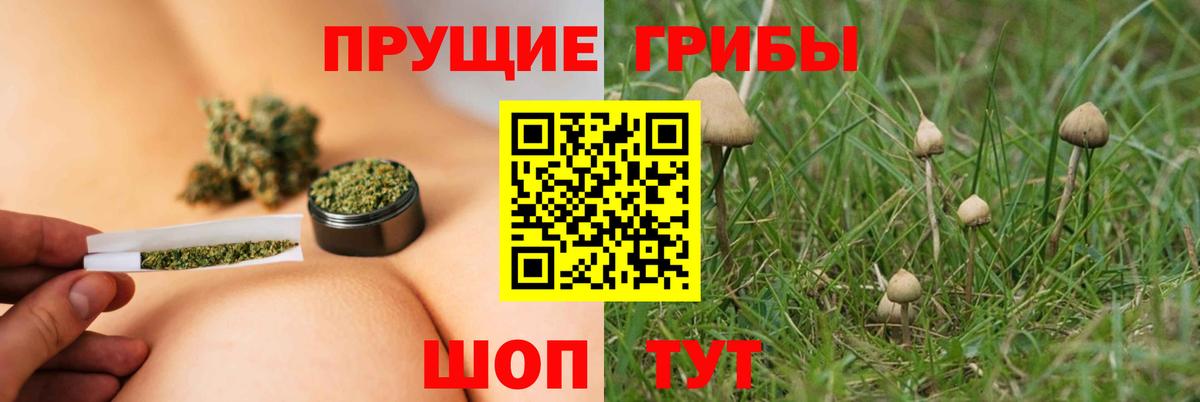 Псилоцибиновые грибы мухоморы  Псилоцибиновые грибы Psilocybine cubensis  Вход с VPN  Советский 