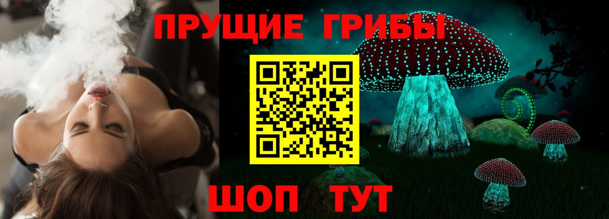 Галлюциногенные грибы Psilocybine cubensis Советский